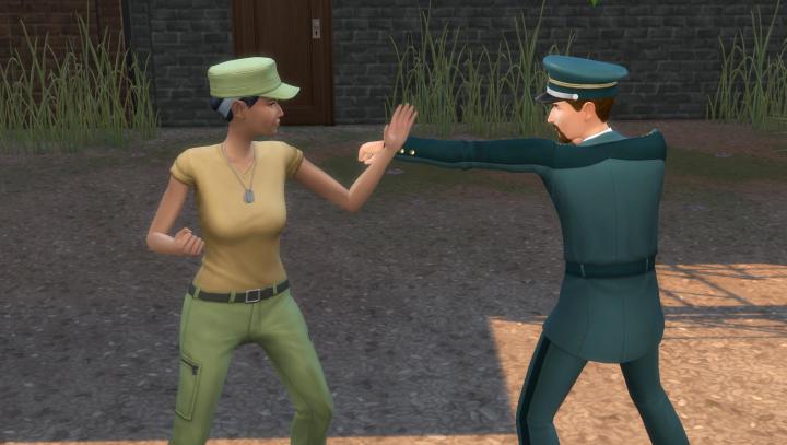 Sims in the Military can Spar
