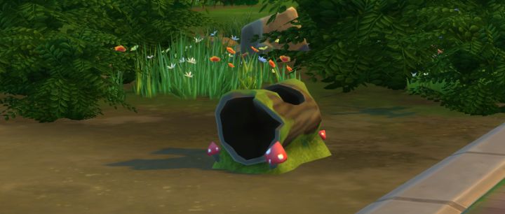 Collect Frogs from Logs in The Sims 4