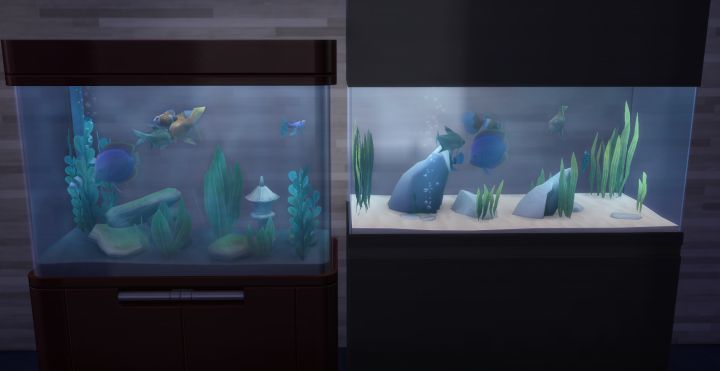 Aquariums in the Spa Day Game Pack