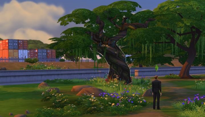 This Tree will let you into Sylvan Glade