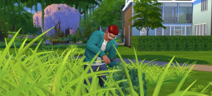 The Sims 4 Gardening - Take Cutting Ability