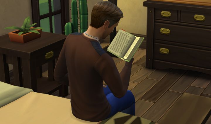 The Sims 4 Read for Reference