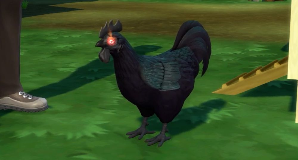 Sims 4 Cottage Living Cheats: How to Spawn Animals. Change Animal Relationships & More