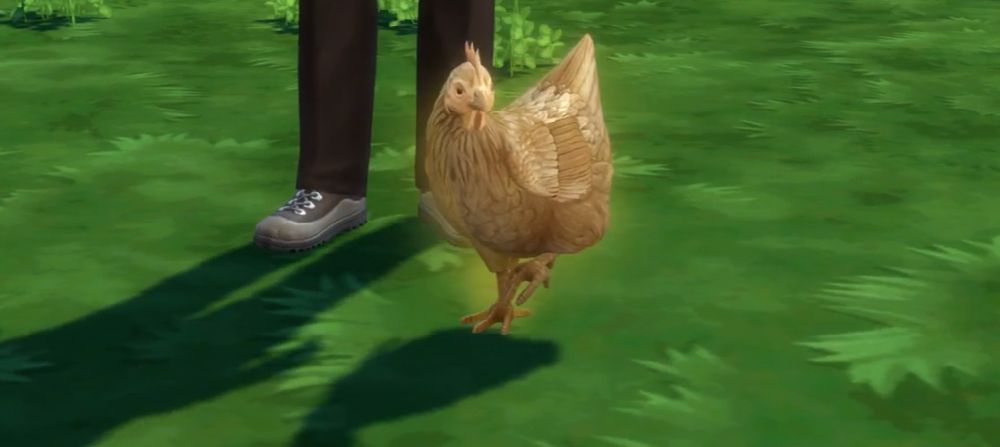 A golden chicken in Sims 4 Cottage Living