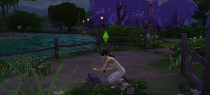 Collecting via Digging in The Sims 4