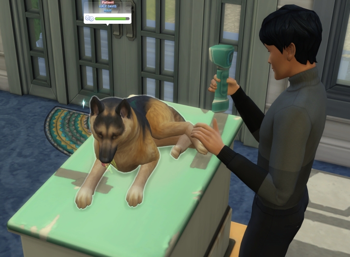 A vet table in the Sims 4 Cats and Dogs Pets Expansion