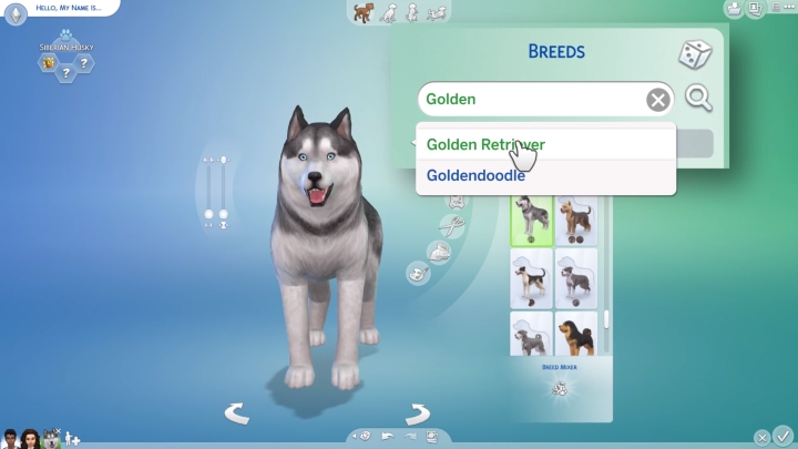 Create a Pet in the Cats and Dogs DLC