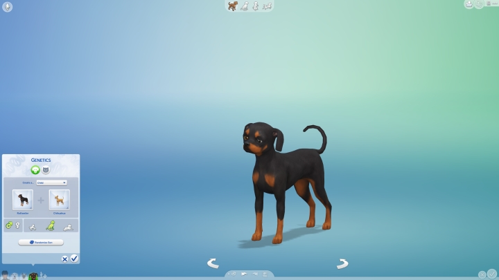 Making a Mixed Breed in the Sims 4 Cats and Dogs Pets Expansion