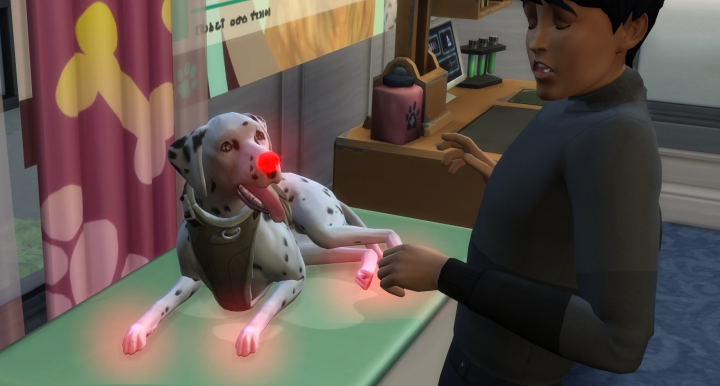 A sick dog being treated by a veterinarian Sim