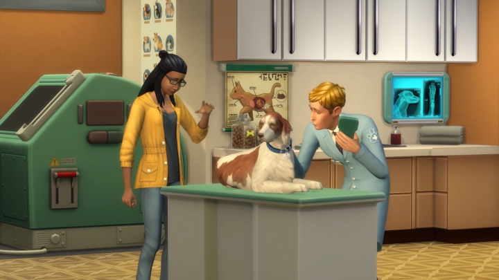 Taking a Dog to the vet in the Cats and Dogs Expansion