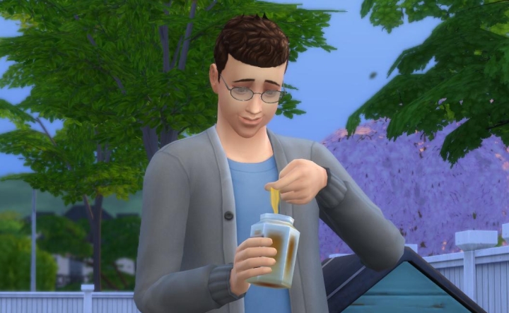 Honey from Bees in The Sims 4 Seasons