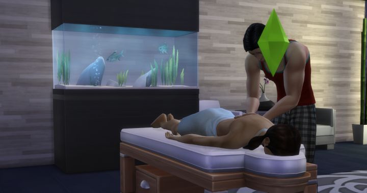 Wellness allows Sims to give others massages, teleport via meditation, and practice Yoga