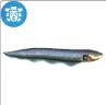 Electric Eel in The Sims 4