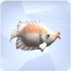 Kissing Gourami in The Sims 4
