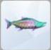 Parrotfish in The Sims 4 Island Living