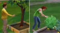The Sims 4 Gardening Skill