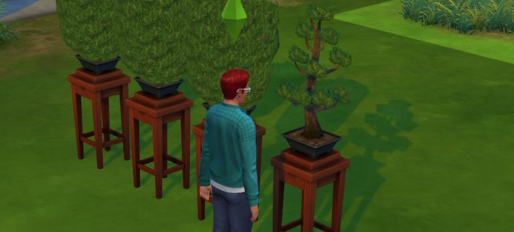 Bonsai Trees raise Gardening skill in The Sims 4