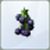 Sims 4 Blackberry
