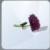 Sims 4 Dahlia in the Seasons Expansion Pack