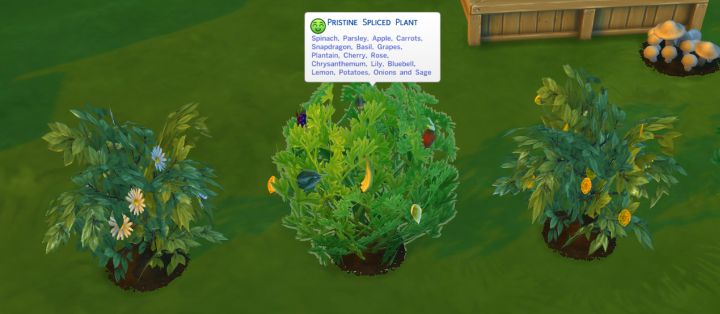 The Sims 4 Gardening Skill Plant Grafting Combos