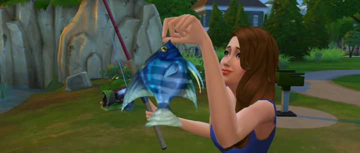 Angelfish