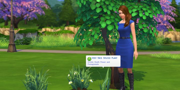 Graft for a Death Flower in The Sims 4