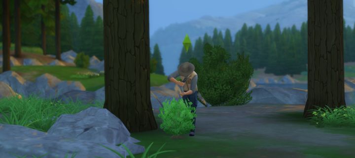 Sims 4 Outdoor Retreat - Finding Herbs