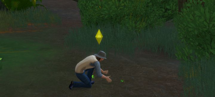 Sims 4 Outdoor Retreat - Collect insects