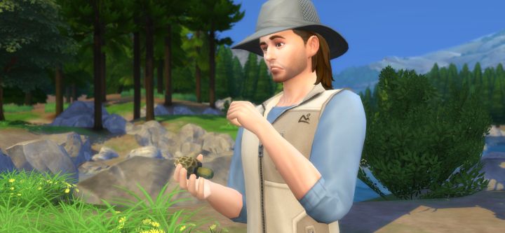 Sims 4 Outdoor Retreat - Identify Plant