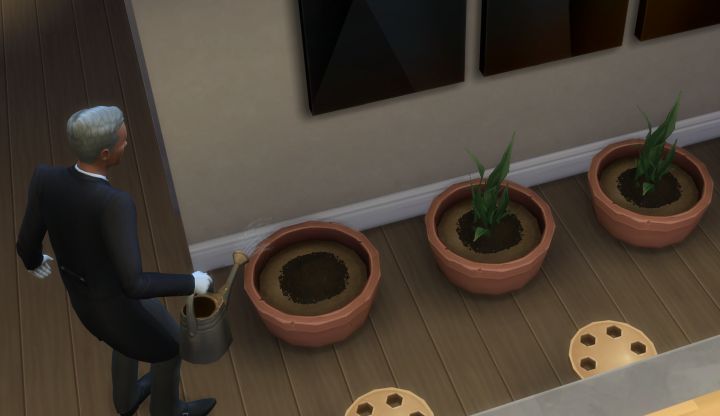 A butler gardening