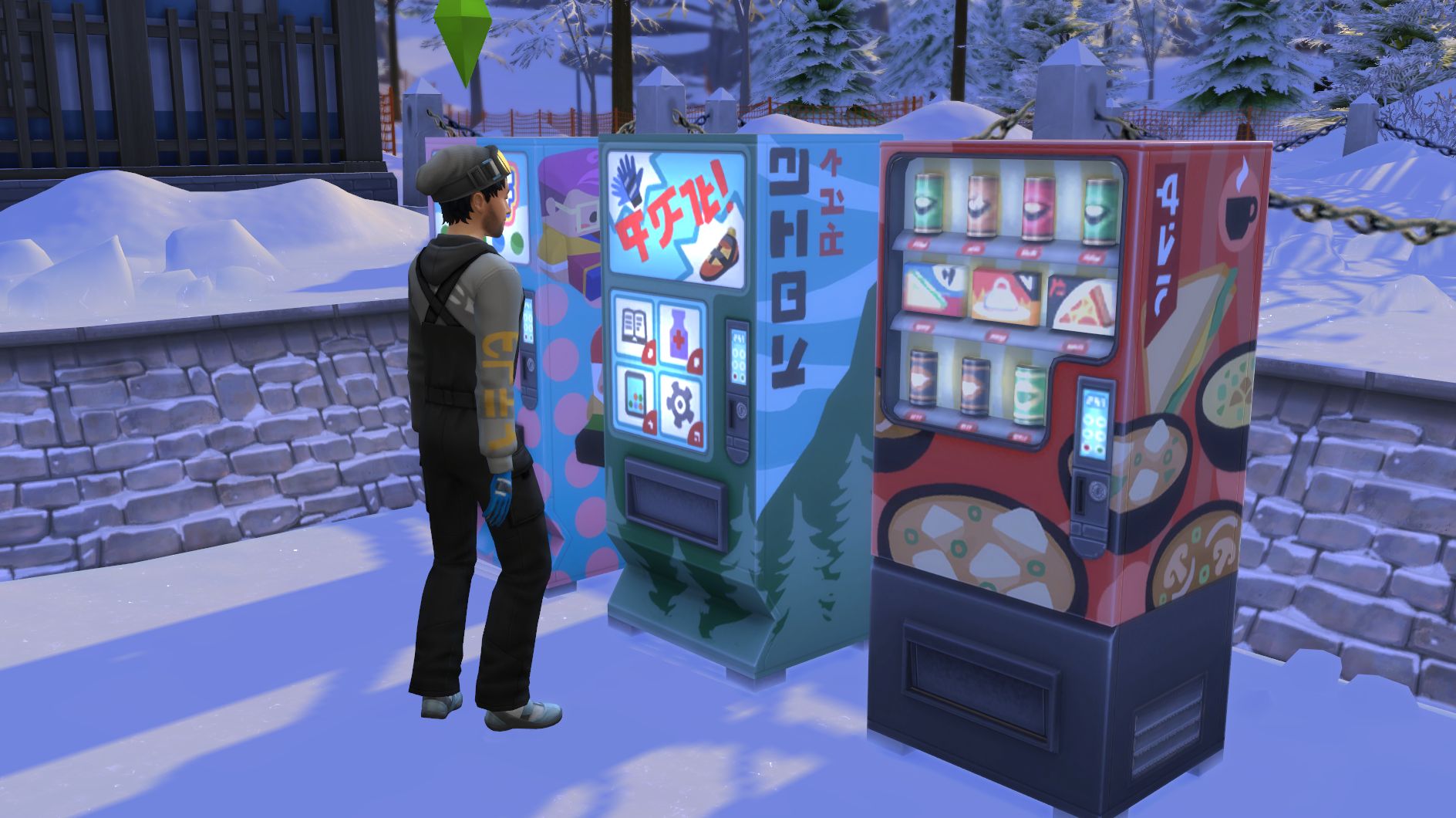 Where to buy Skis in The Sims 4 Snowy Escape